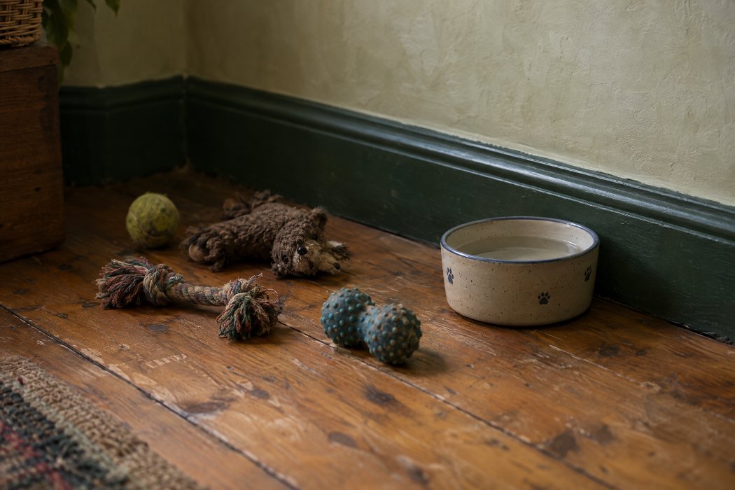 Dog toys and a bowl on the floor